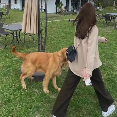 泣玉短剧版